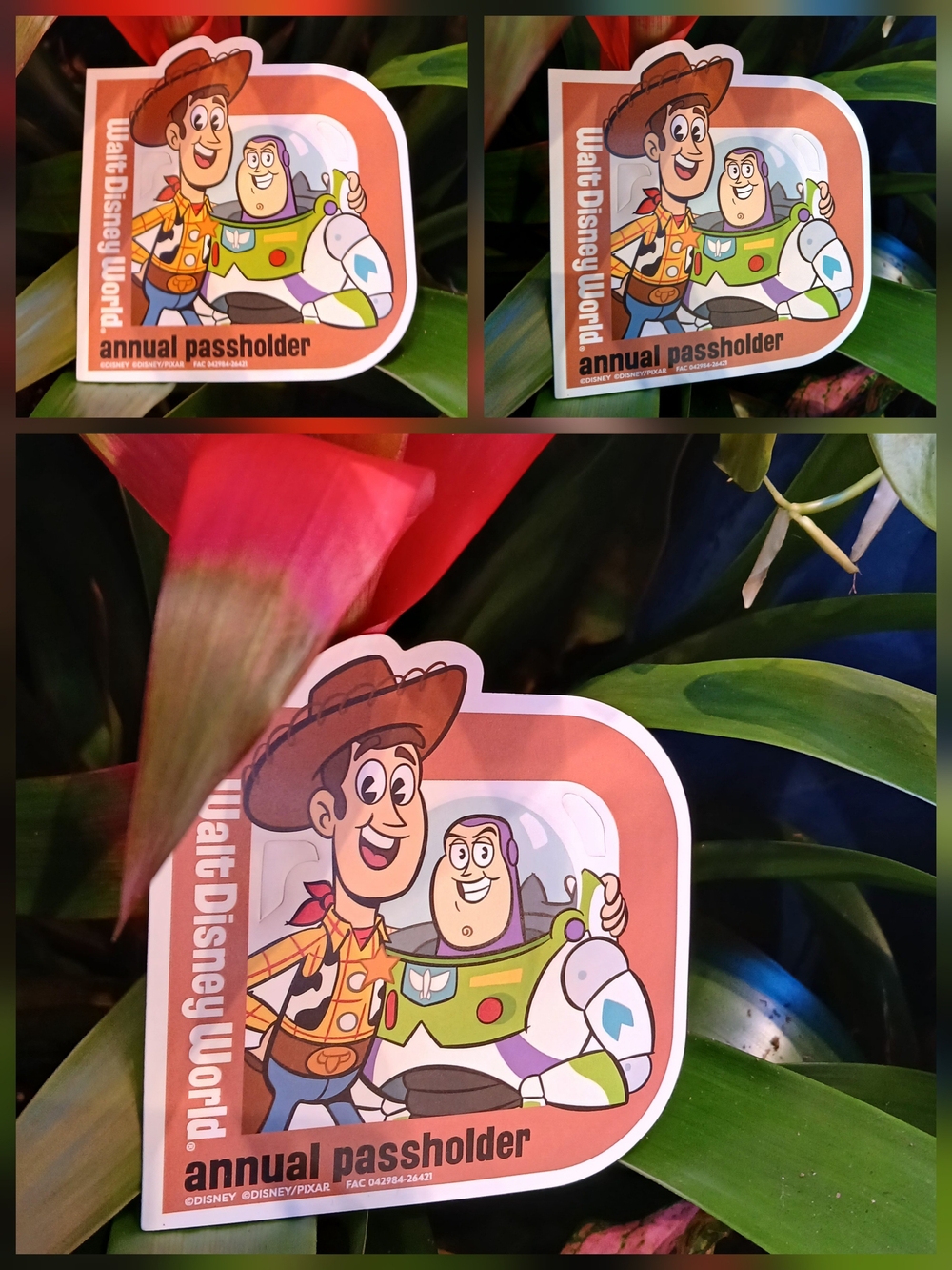🔥NWT Disney Toy Story Woody & Buzz Passholder Magnet🔥 & Free Gift